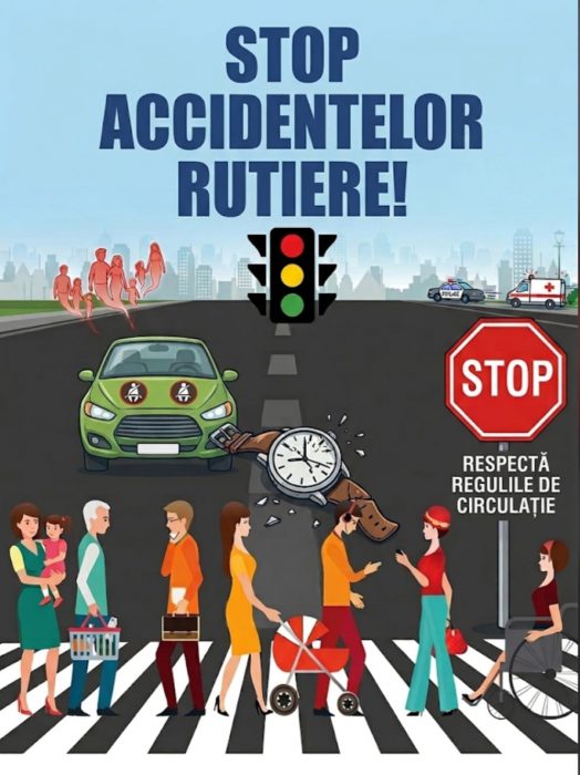 Lucrare realizată de Raisa Andreea Croitoru